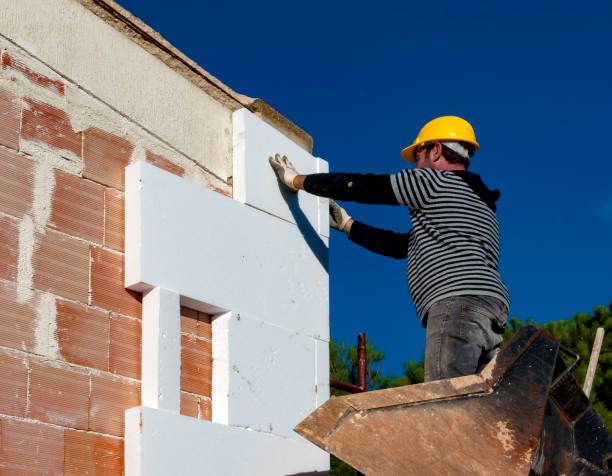 Best Residential Insulation Services  in St Paul, NE