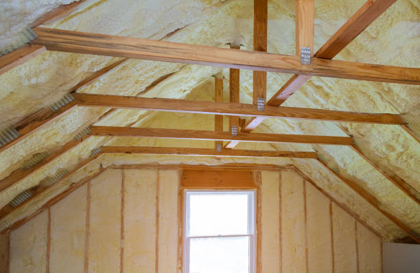 Best Insulation for New Construction  in St Paul, NE