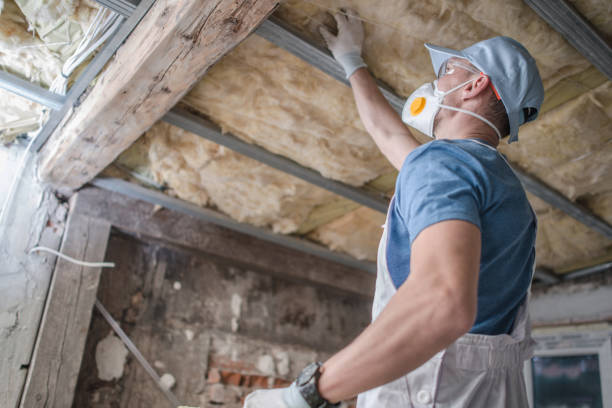 Best Affordable Insulation Services  in St Paul, NE