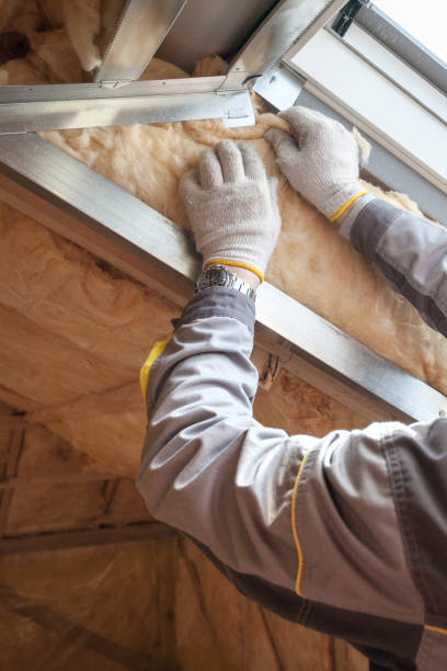 Best Spray Foam Insulation  in St Paul, NE