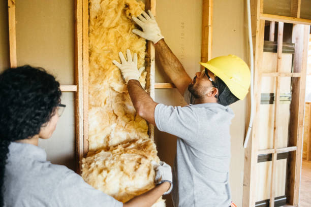 Best Soundproof Insulation Installation  in St Paul, NE