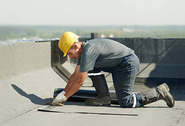 Best Attic Insulation Installation  in St Paul, NE