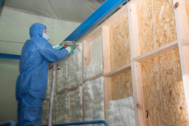 Insulation Repair Services in St Paul, NE