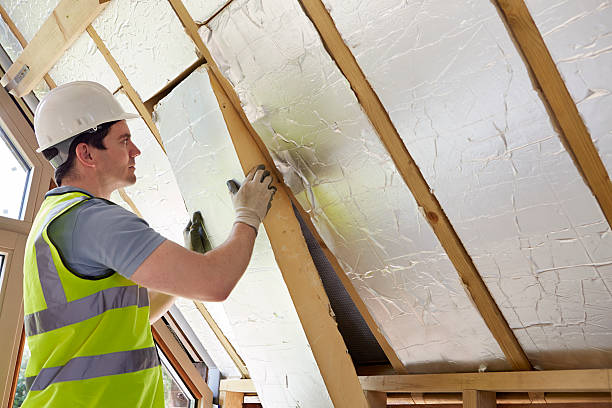Best Energy-efficient Insulation  in St Paul, NE