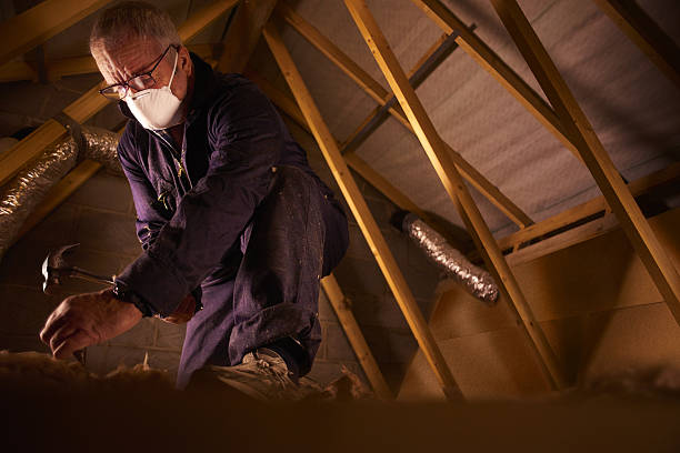 Best Crawl Space Insulation  in St Paul, NE
