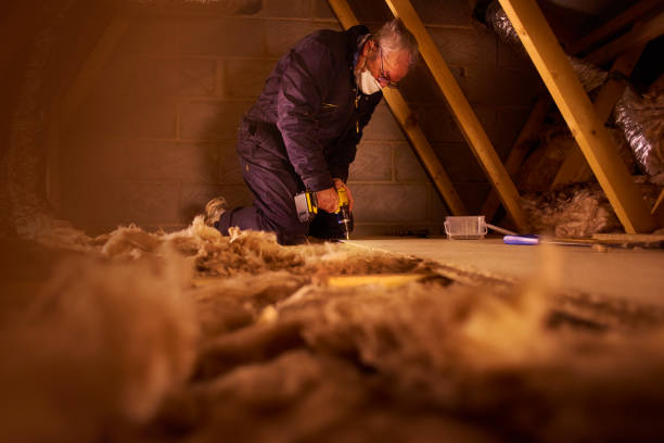 Insulation Contractors for Homes in St Paul, NE