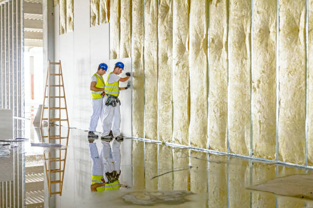 Best Insulation Contractors for Homes  in St Paul, NE